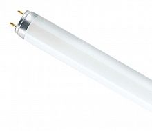Osram Лампа люминесцентная L 36W/765 T8 G13